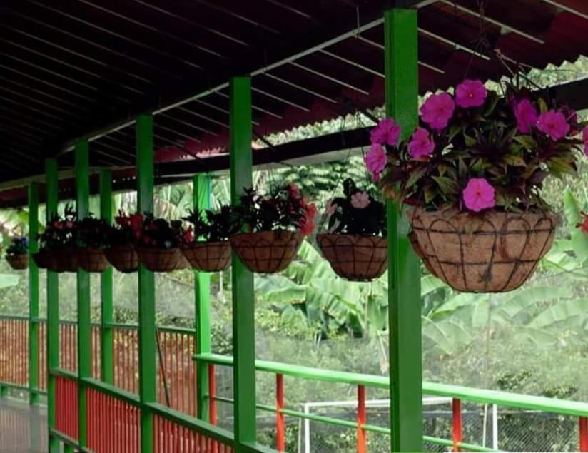 Ecohotel Colibri Salento Luna Park Zewnętrze zdjęcie
